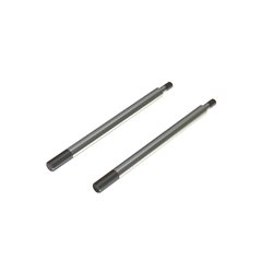 Shock Shaft 6x95mm (2)