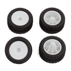 RC28T Wheels and Tiresmounted
