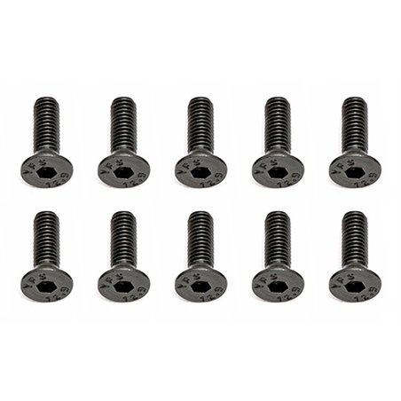 Screws M3x10 mm FHCS