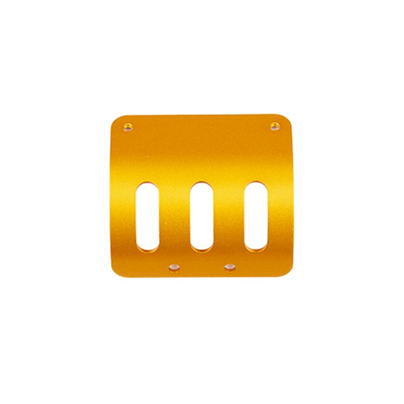 RC10 MOTOR GUARD, GOLD