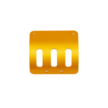 RC10 MOTOR GUARD, GOLD