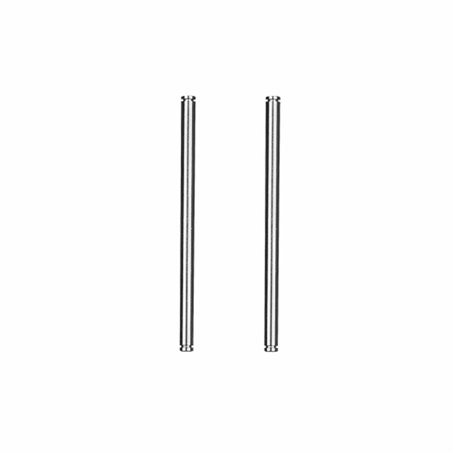 RC10 '91 Stealth Car Rear Inner Hinge Pins