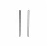RC10 '91 Stealth Car Rear Inner Hinge Pins