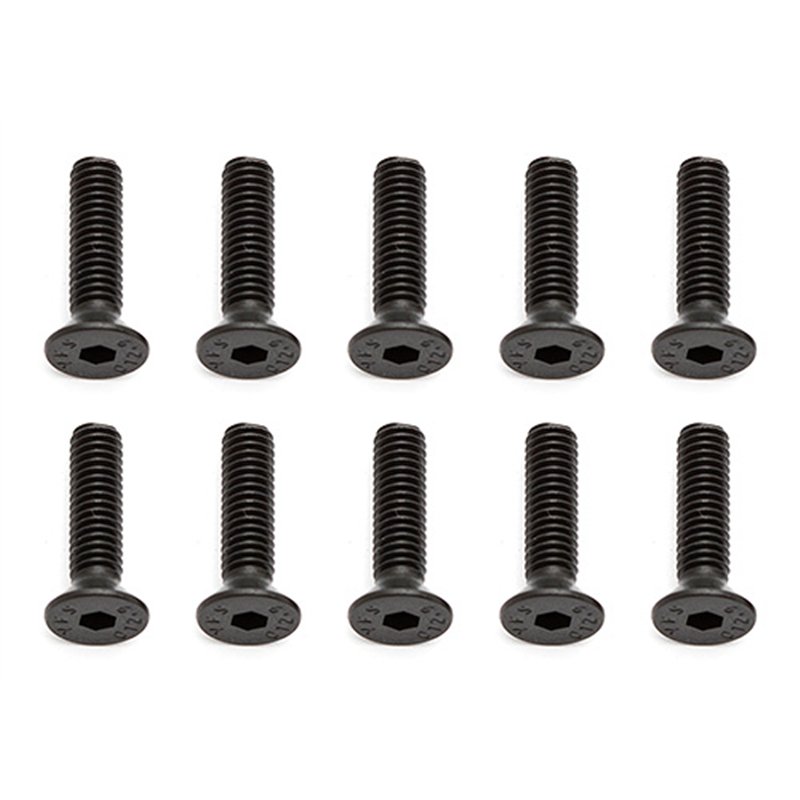 Screws M4x16 mm FHCS