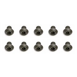 Screws M2.5x3 mm BHCS