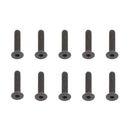 Screws M3x14 mm FHCS
