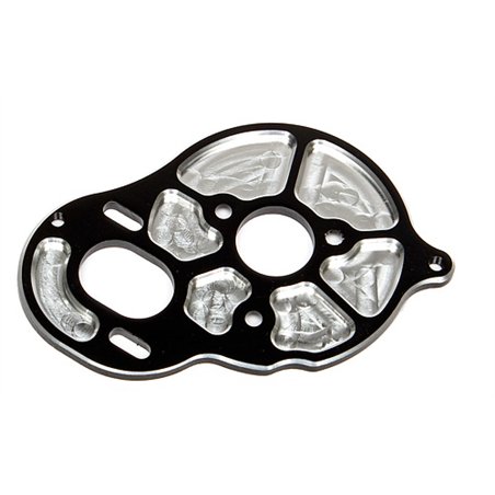 FT Front Motor Plateblack3 gear