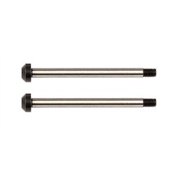 RC10B74 Rear Hub Hinge Pins