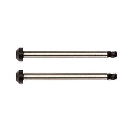 RC10B74 Rear Hub Hinge Pins