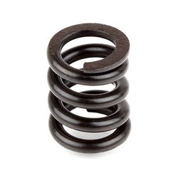 Slipper Spring