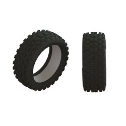 2HO Tire & Inserts (2)