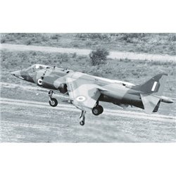 Hawker Siddeley Harrier GR.1/AV-8A 1:72