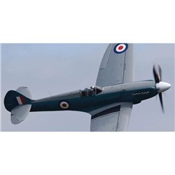 Supermarine Spitfire PR.XIX 1:73