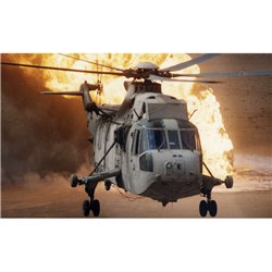 Westland Sea King HC.4 1:73