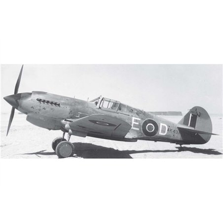 Curtiss Tomahawk Mk.II 1:49