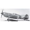 Curtiss Tomahawk Mk.II 1:49