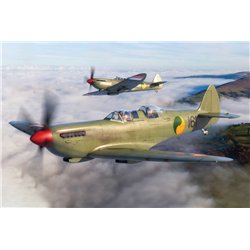 Supermarine Spitfire Tr.9 1:49
