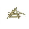 COASTER SCREW 20MM /10