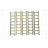 LADDER 12X55MM /5