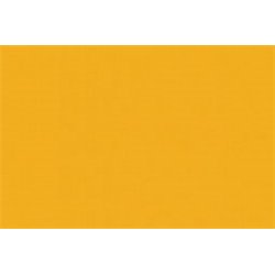 Trainer Yellow 22ml