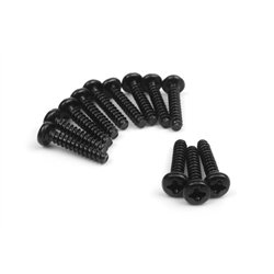 Koniskt huvud Självgängande skruvar med kulhuvud 3x15mm (12 st)