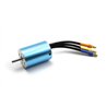Brushless Motor 2840 KV3800