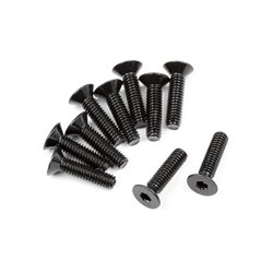 Flat Head Screw M2.5X10Mm (Hex Socket/10Pcs)