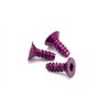 Alu Tp Flat Hd Screw 3 X8Mm Hex Socket/Purple/5Pc