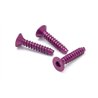 Alu Tp Flat Hd Screw 3 X15Mm Hex Socket/Purple/5Pc