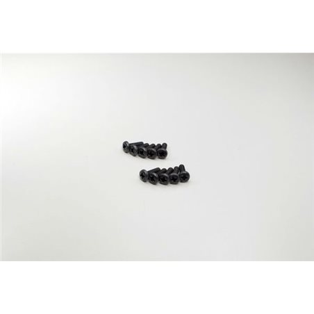 BIND HEAD 3X10MM METALLIC SCREWS (10)