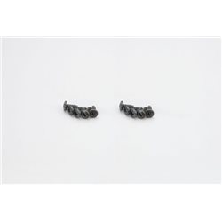 BIND HEAD 4X10MM TP SCREWS (10)