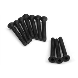 TP. FLAT HEAD SCREW M3x25mm (HEX SOCKET/10pcs)