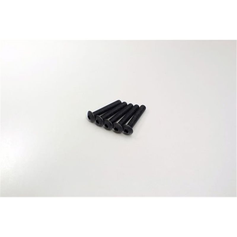 HEX BUTTON SCREWS 4X22MM (5)