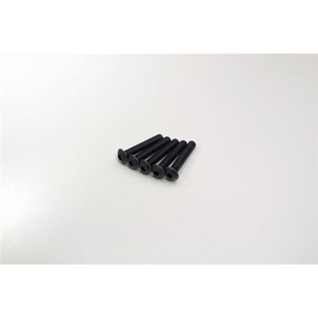 HEX BUTTON SCREWS 4X22MM (5)