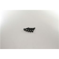 METALLIC CAP SCREWS 2.6X10MM (5)