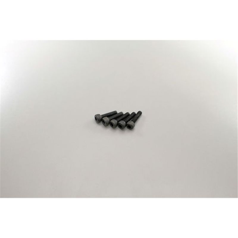 METALLIC CAP SCREWS 2.6X10MM (5)
