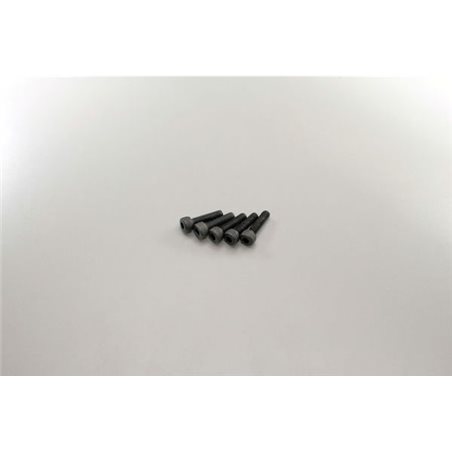 METALLIC CAP SCREWS 2.6X10MM (5)