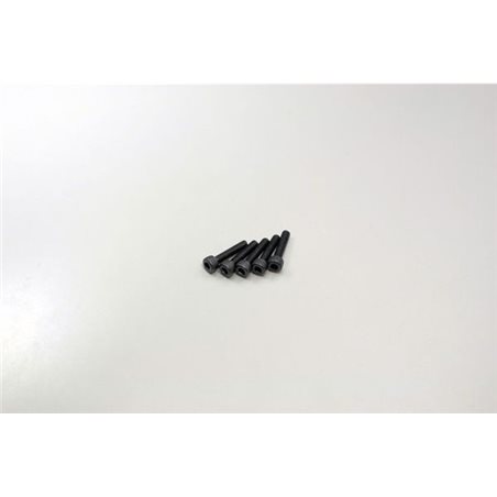 METALLIC CAP SCREWS 2.6X12MM (5)