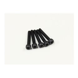 METALLIC CAP SCREWS 2.6X16MM (5)