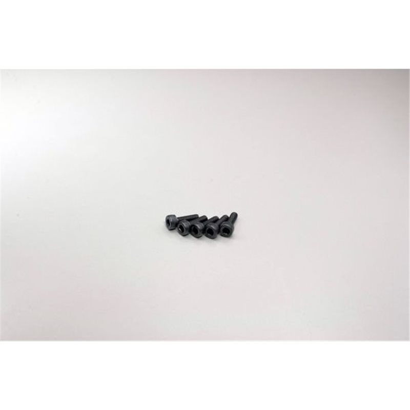 METALLIC CAP SCREWS 3X10MM (5)