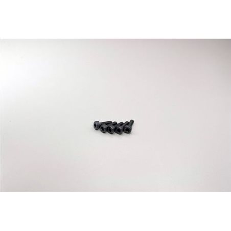 METALLIC CAP SCREWS 3X10MM (5)