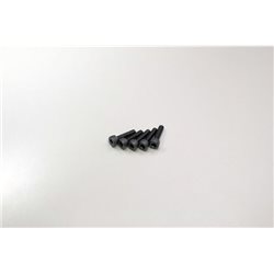 METALLIC CAP SCREWS 3X12MM (5)