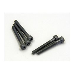 METALLIC CAP SCREWS 3X25MM (5)