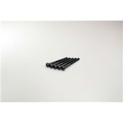 METALLIC CAP SCREWS 3X30MM (5)