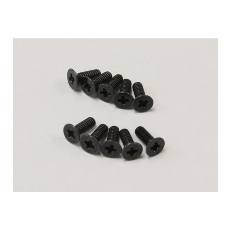 FLAT HEAD 2X6MM METALLIC SCREWS (10)