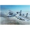 1:48 A-10C "Blacksnakes"