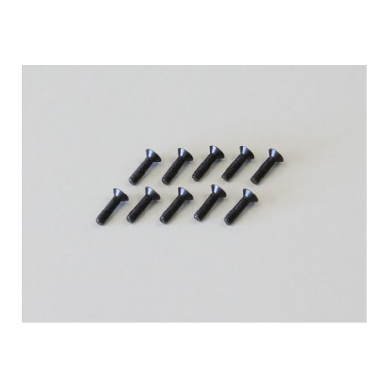 Hex Flat Head Screws 3x12mm (10)