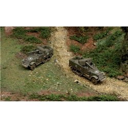 1:72 M3 75mm HALF TRACK (2 F.A.)