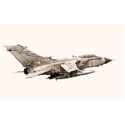 1:48 Tornado IDS
