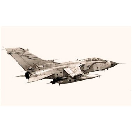 1:48 Tornado IDS